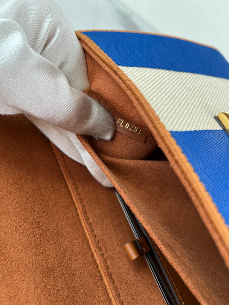 LOUIS VUITTON Multicolor TWIST MM Embroidered Stripe Canvas Shoulder/Crossbody Bag