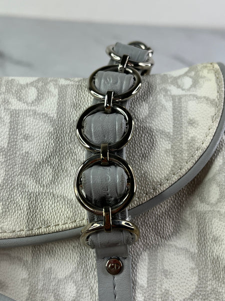 Christian Dior Grey Monogram Romantique Trotter Bag
