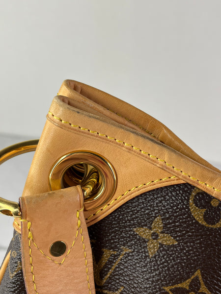 LOUIS VUITTON Monogram Galliera PM Shoulder Bag