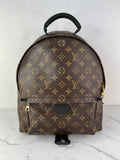 Louis Vuitton Monogram Palm Springs MM Backpack