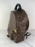 Louis Vuitton Monogram Palm Springs MM Backpack