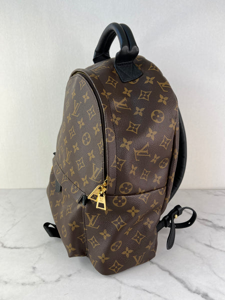 Louis Vuitton Monogram Palm Springs MM Backpack