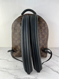 Louis Vuitton Monogram Palm Springs MM Backpack