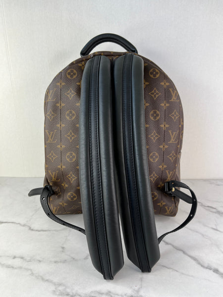 Louis Vuitton Monogram Palm Springs MM Backpack