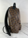 Louis Vuitton Monogram Palm Springs MM Backpack