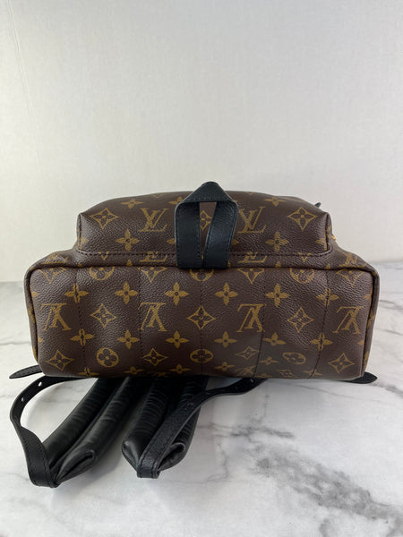 Louis Vuitton Monogram Palm Springs MM Backpack