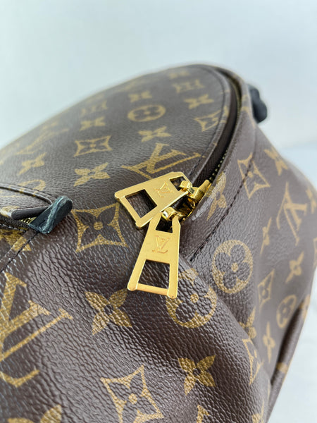 Louis Vuitton Monogram Palm Springs MM Backpack