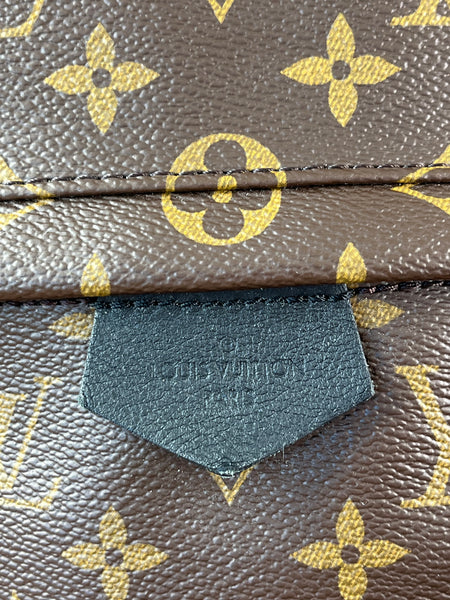 Louis Vuitton Monogram Palm Springs MM Backpack