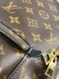 Louis Vuitton Monogram Palm Springs MM Backpack