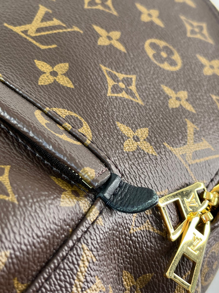 Louis Vuitton Monogram Palm Springs MM Backpack
