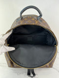 Louis Vuitton Monogram Palm Springs MM Backpack