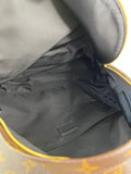 Louis Vuitton Monogram Palm Springs MM Backpack
